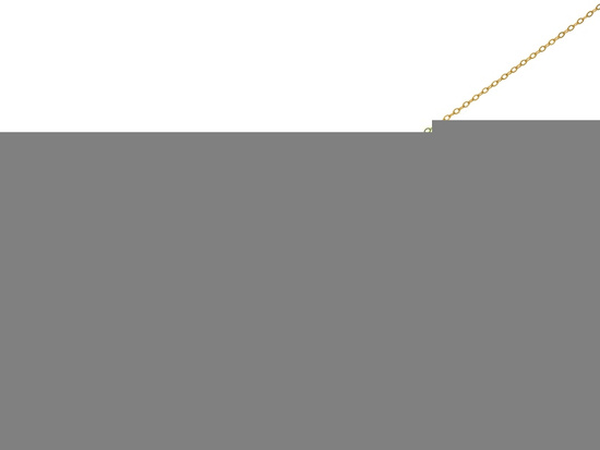 Złota bransoletka łańcuszek z kółeczkami